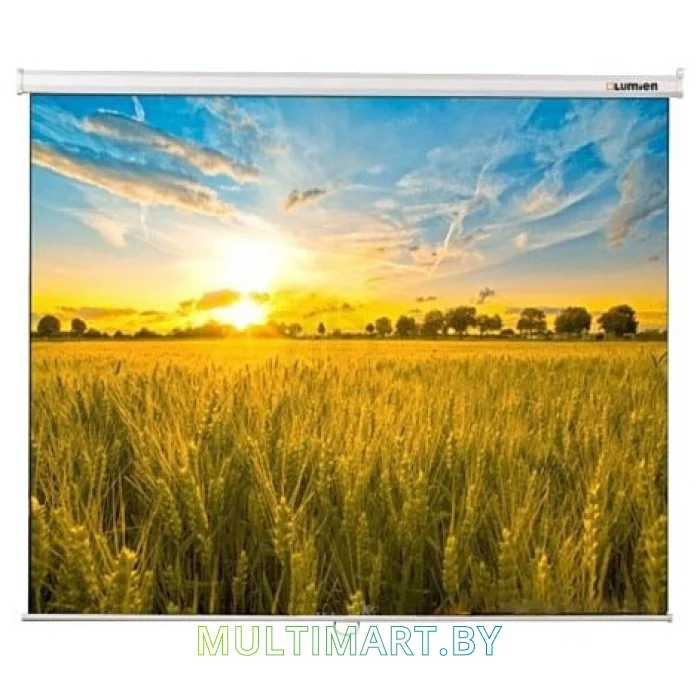 Проекционный экран Lumien Eco Picture 198x300 (LEP-100120)